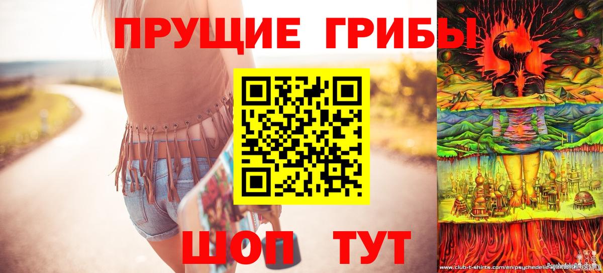 Псилоцибиновые грибы мицелий Елизово